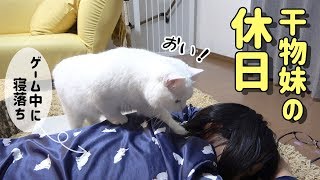 干物妹ともふ猫のだらけきった休日の様子がこちら！