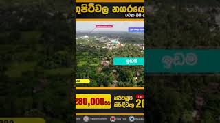 නිට්ටඹුව වතුපිටිවලින් පර්චසය 2.80 සිට#Land for sale Nittambuwa#land #propety #home #wathupitiwal#