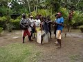 malekula string band vanuatu