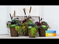 gdl get your fall porch plants with porch pots direct