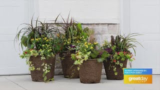 GDL: Get Your Fall Porch Plants with Porch Pots Direct