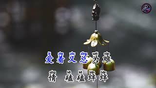 【字幕板】《有些路我不走心不甘》(男版) 小灿 (4K)