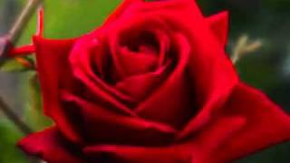 HAPPY BIRTHDAY POOJA