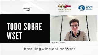 ¿Qué es el WSET? ¿Cuántos niveles hay en el WSET? Todo sobre el WSET | Artean Wines Teresa Guilarte