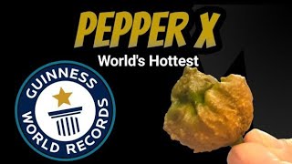 Pepper X World's Hottest Pepper