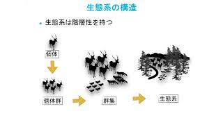 模擬授業　東海大学　札幌キャパス　生物学科（松井晋先生）動物たちの生活様式を調べる