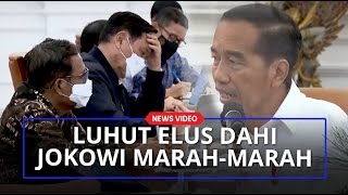Luhut Sampai Elus Dahi Dengar Kemarahan Jokowi yang Ancam Copot Pejabat