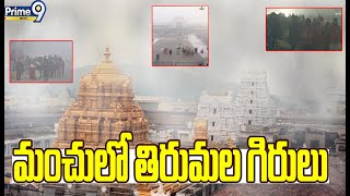 మంచులో తిరుమల గిరులు | Heavy Snow In Tirumala Temple | Prime9 News