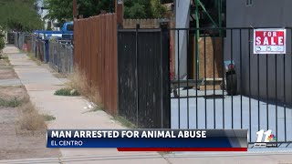 El Centro man arrested for animal cruelty