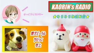 【雑談配信】愛犬ビーグルちびっこ、どうやらアレで消化不良起こしてた！収益化するまで終われまてん♪Day 10.