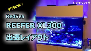 REEFER xl300レイアウト ！