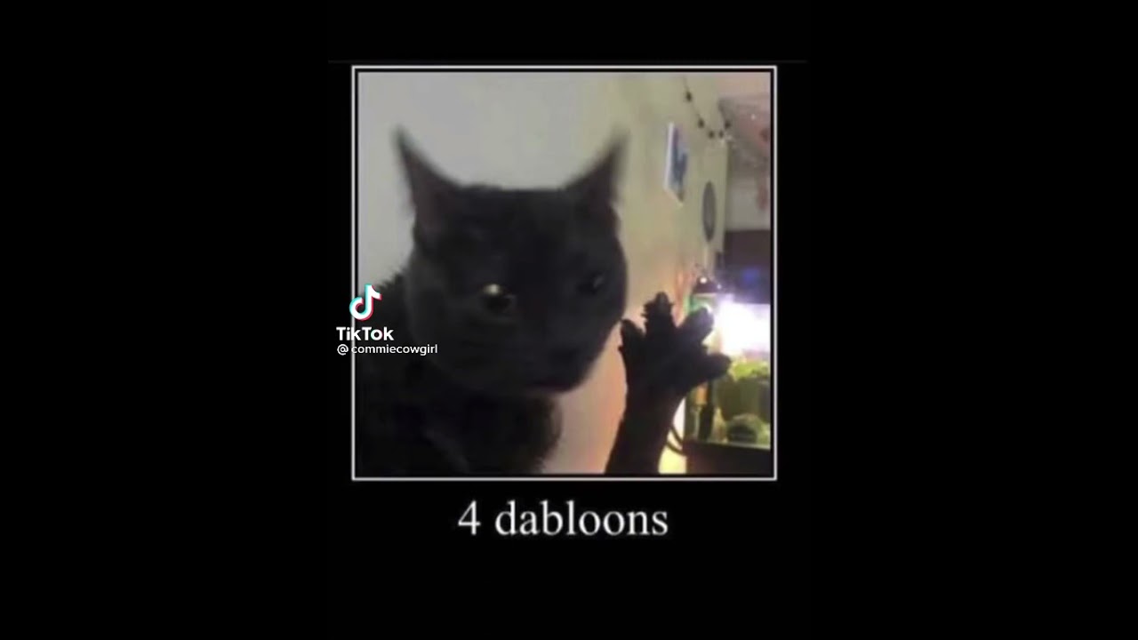 Tiktok S Dabloons Cat Meme Explained Polygon 54 Off