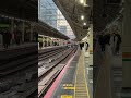 【何もかもが異次元】東京駅の日常 鉄道 電車 train