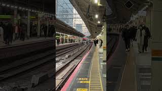 【何もかもが異次元】東京駅の日常 #鉄道 #電車 #train