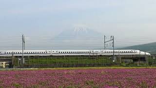 田園地帯のレンゲ畑🌸2023/4/21