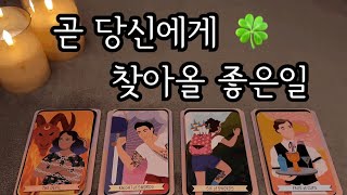 [타로] 곧 당신에게 찾아올 좋은일🍀현재상황, 중요한 이슈, 좋은일들, 조언메세지