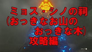 ゼルダの伝説～ブレス オブ ザ ワイルド～【SWITCH】＃136　ミョス・シノの祠（おっきなお山のおっきな木）