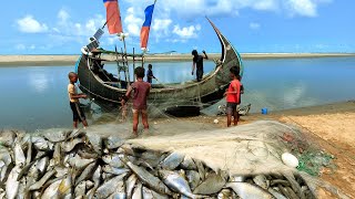 কক্সবাজার বঙ্গোপসাগরে জাল থেকে মাছ ছাড়ানোর দৃশ্য Cox's Bazar Bay of Bengal fish release scene