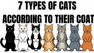 The Surprising Link Between Cat Coat Color and Personality