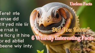 6 Weirdly Interesting Facts You Might Not Heard of | Useless Facts \u0026 Other Things