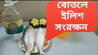 ইলিশ ফ্রিজিংয়ের নম্বর 1পদ্ধতি | সারা বছর স্বাদ ও গন্ধ অটুট থাকবে | ইলিশ মাছ সংরক্ষণ পদ্ধতি |