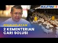 BEKALAN AYAM | KPDN & MAFS Bincang Kenaikan Harga Ayam Di Ladang