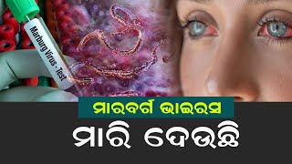 ମାରବର୍ଗ ଭାଇରସ୍ ମାରି ଦେଉଛି | Marburg Virus | Marburg virus disease | another pandemic on the horizon