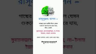 সুবহানাল্লাহ।প্রিয় নবী সব সময় জিকির করতে বলেছেন কেন জেনে নিন।