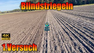 Blindstriegeln 1.Versuch mit John Deere 6150r Starfire 6000 M-RTK Treffler Striegel