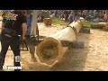 150 incredible fastest big chainsaw cutting tree machines