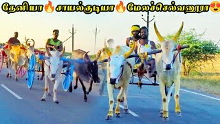 காணிக்கூர் பூஞ்சிட்டு முதல் சுற்று 25.02.2023