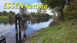 Stadt Essen walking 4K | Kettwig Herbst 2024