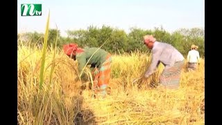 বাজেটে কৃষি ভর্তুকি বাড়ানো উচিত