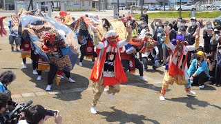 氷見 唐島祭 獅子舞 2022年