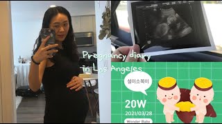 [VLOG] 쌍둥이 임산부 임신중기 브이로그 :) 출산 디데이 어플소개📲 | LA 한인 산부인과 후기 | 파스타에 빠진 일상🍝| LA 근교 홈투어🏘