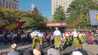 2024.10.12 総踊り 踊るYOSAKOI愛日本　第27回仙台みちのくYOSAKOIまつり　勾当台公園