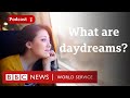 Why we daydream and what goes on in our brain when we do - CrowdScience podcast, BBC World Service