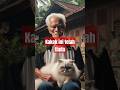 Persahabatan kucing dan kakek#cat #sadcat #pencintakucing#shortsfeed #shortsvideo #shortscat #shorts