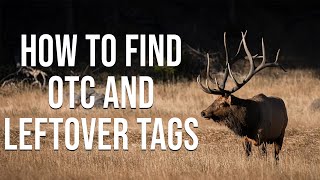 How To Find Leftover Tag Opportunities | APPLICATION SEASON