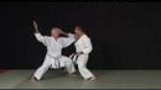 Karate shotokan Lavorato vol. 1 - Extrait du DVD