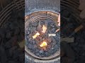 How To Clean Your BBQ | What To Do With A Mouldy GRILL