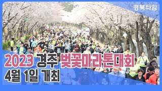 2023 경주 벚꽃 마라톤 #ep 01 #마라톤 #경주