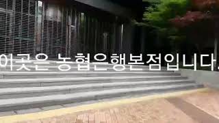 마침내 - 로또의 메카, [농협본점]에 가다!!