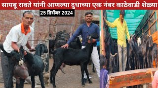 सायबु रावते यांनी आणल्या एक नंबर दुधाच्या काठेवाडी शेळ्या😍 25 डिसेंबर 2024 रोजी ची गाडी