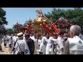 平成２８年　鷺の宮八幡神社・保久良神社祭礼　本宮　神輿渡御・宮出（だんじり・神戸・東灘・中野・小路・北畑・田邊）