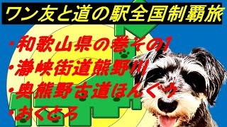 和歌山県の巻その1 びびりワンコと「道の駅」全国制覇達成を目指す旅チャンネル   現在376件達成済　瀞峡街道熊野古道・奥熊野古道ほんぐう・おくとろ　ミニチュアシュナウザー・4才の女の子同伴