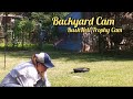 Backyard Cam Wildlife Texas BushNell Trophy Cam Trail Camera Video