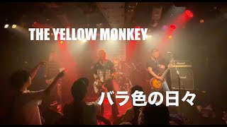 バラ色の日々 / THE YELLOW MONKEY / カバー