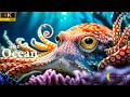 The Colors of the Ocean 4K Octopus, Underwater Wonders + Relaxing Music  4K Relaxation Video