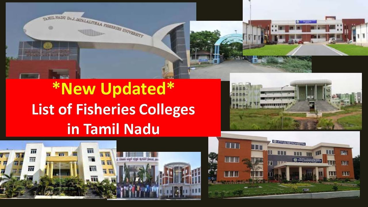 Best Fisheries Colleges In Tamil Nadu /B.F.Sc Course / Fisheries ...